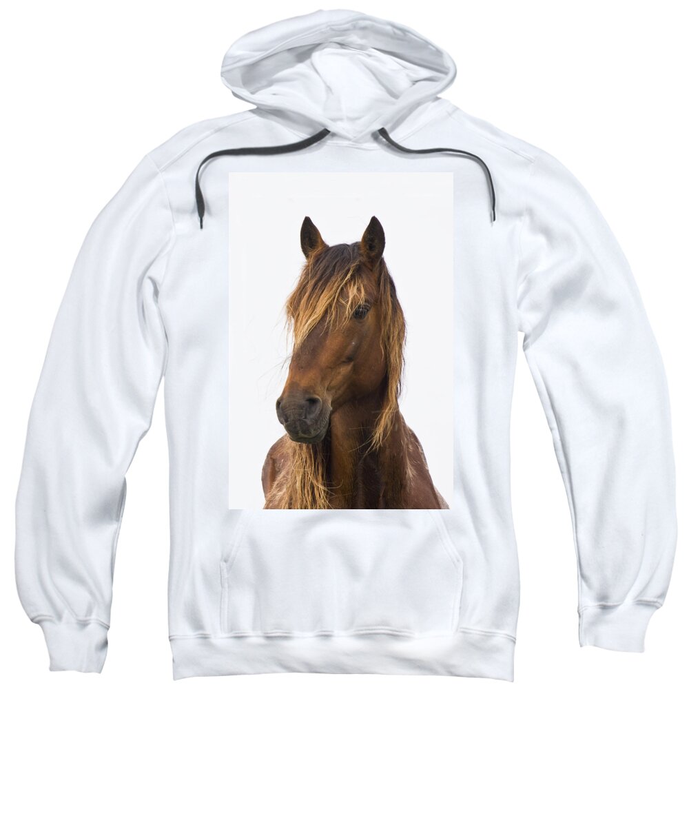 Wild Sweatshirt featuring the photograph Portrait of a Mustang by Bob Decker