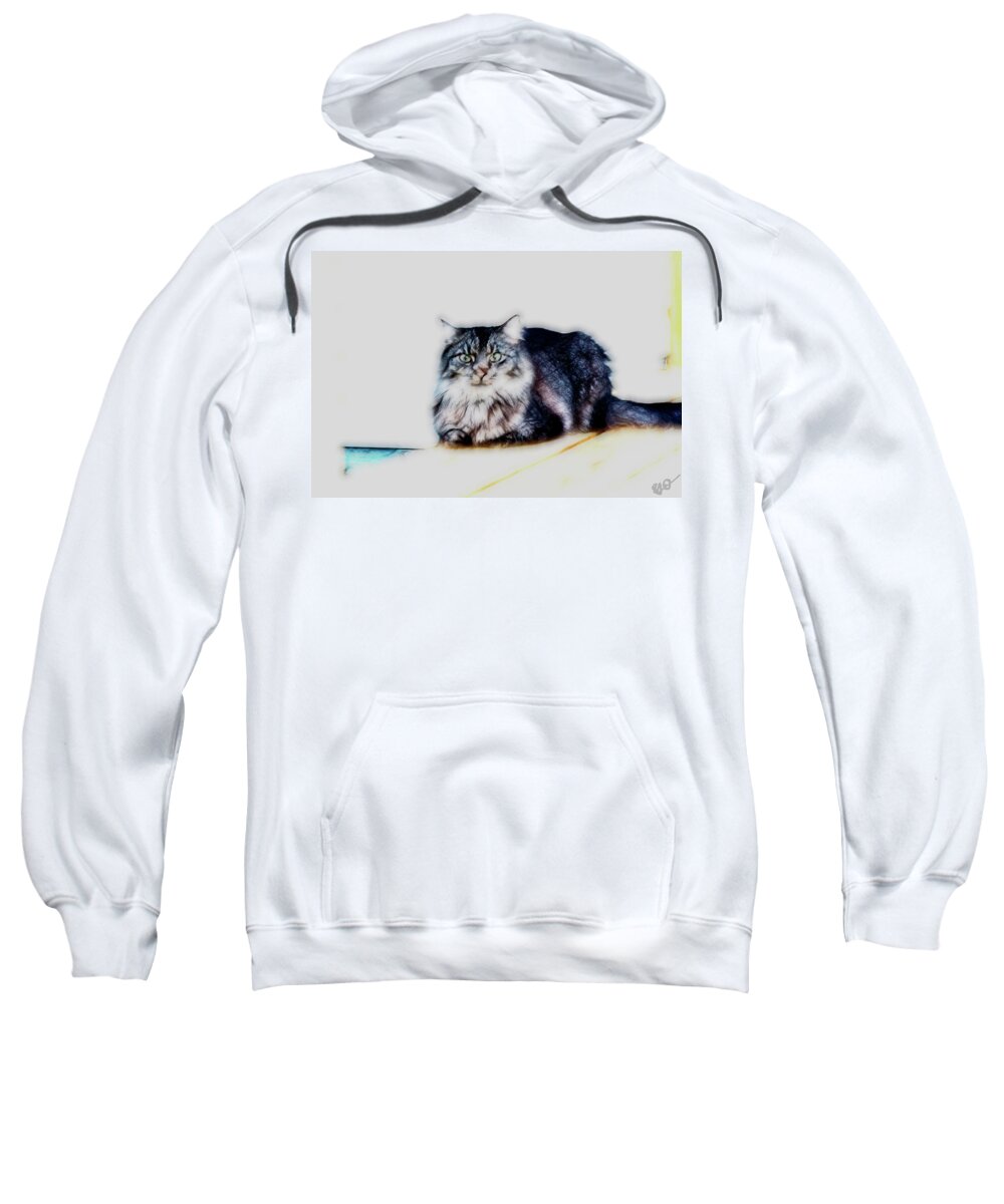 Maine Coon Sweatshirt featuring the photograph Portrait of Maine Coon, Mattie by Gina O'Brien