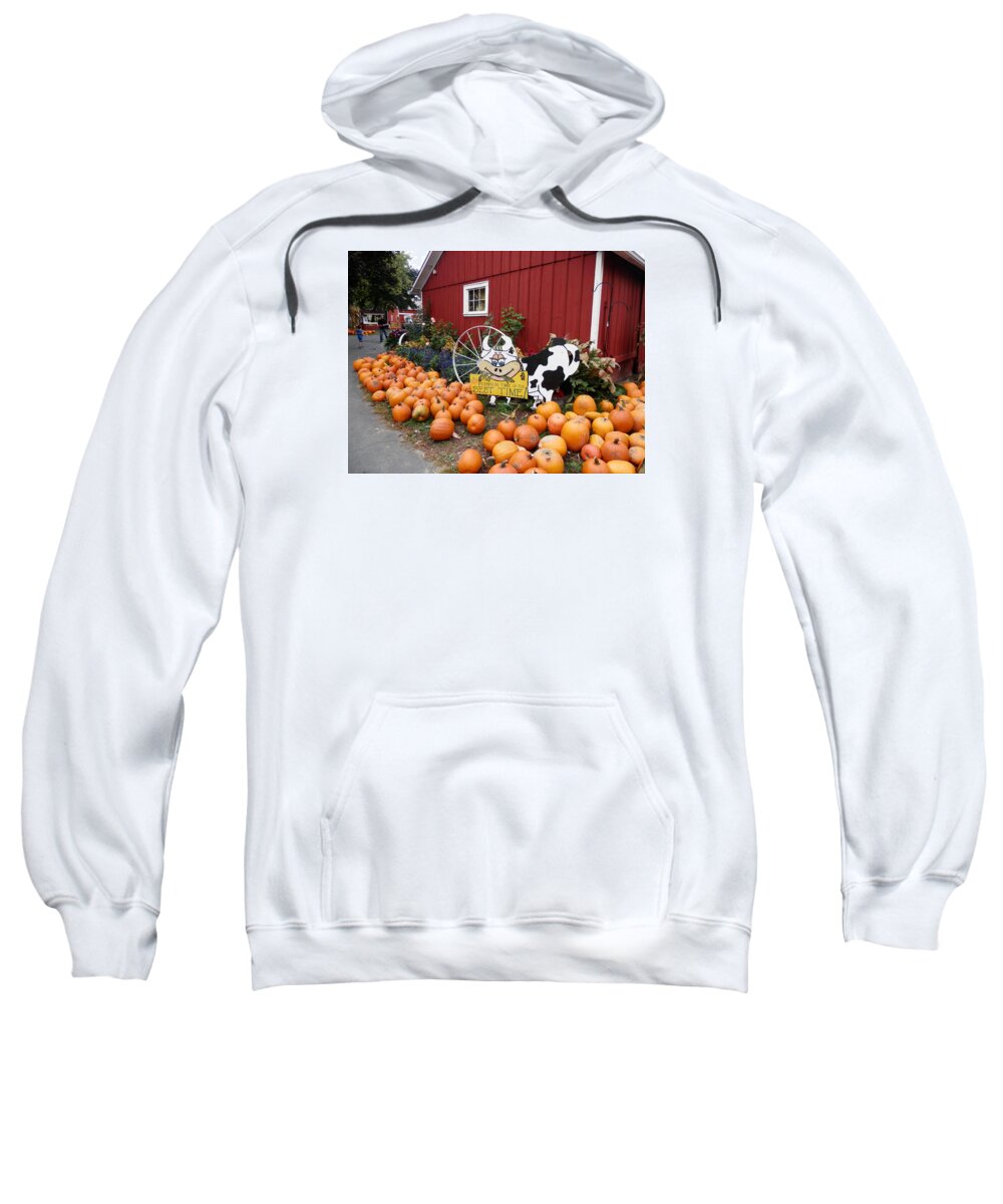 Pumpkins Sweatshirt featuring the photograph Pumpkin Farm by Deborah Kunesh