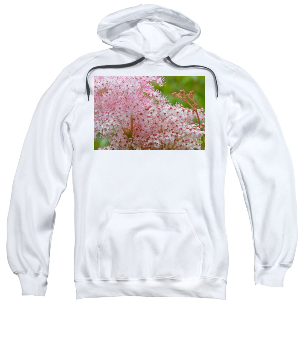 Pink Sweatshirt featuring the photograph Queen of the Prairie Nature Art by Robyn King