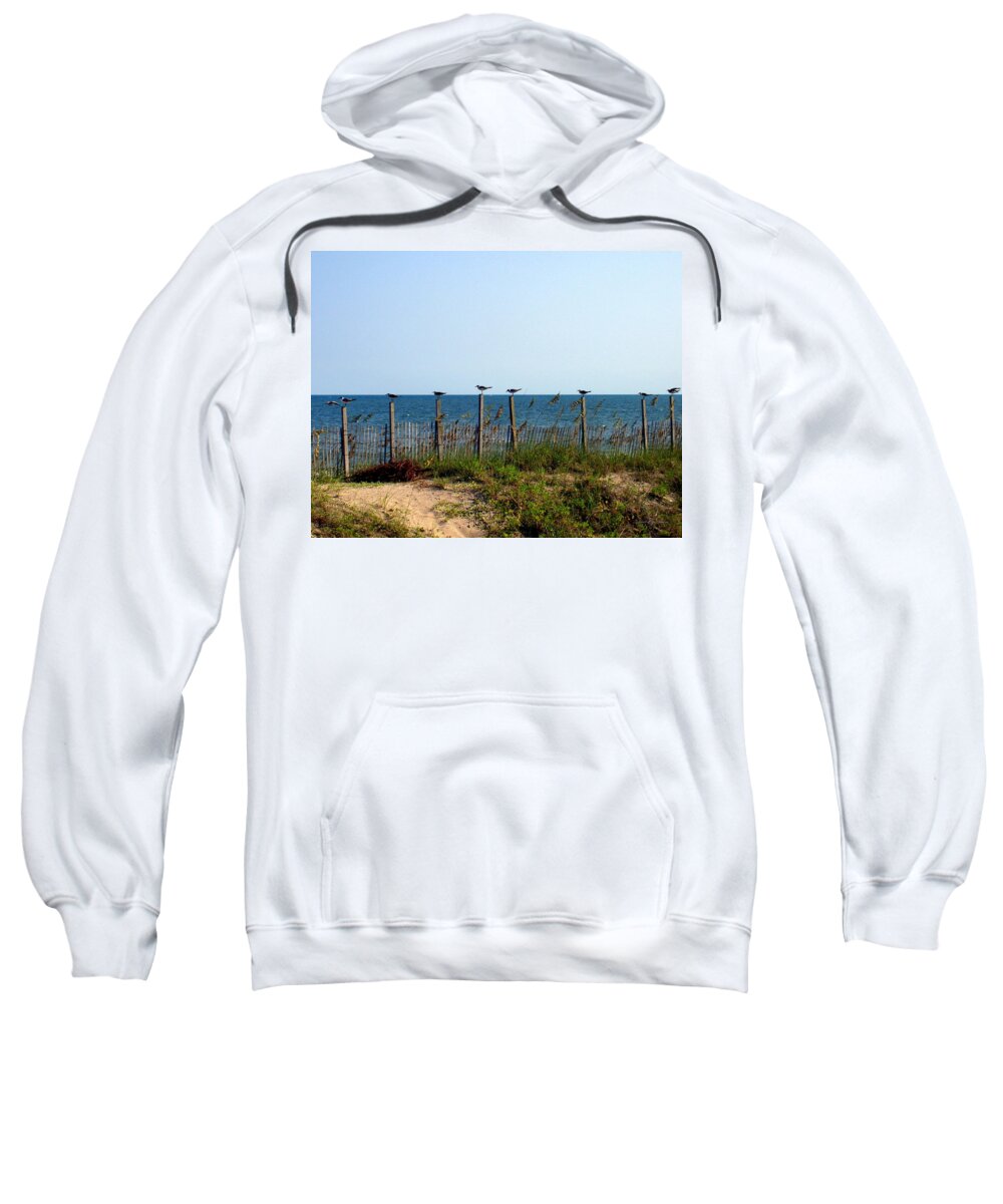 Birds Sweatshirt featuring the photograph Ready for Take-Off by Deborah Crew-Johnson