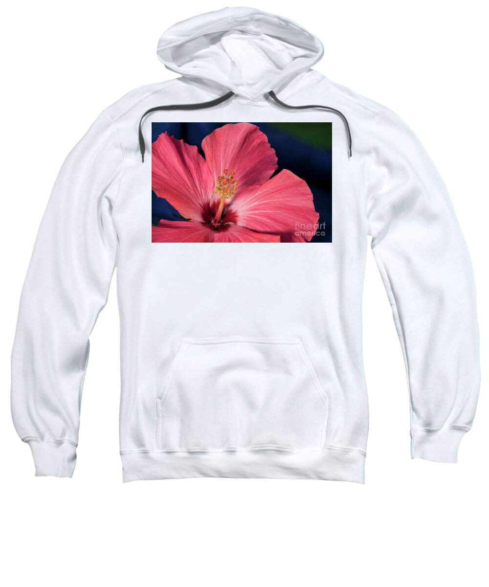 21st Century Sweatshirt featuring the photograph Red and White Hibiscus by Norman Gabitzsch