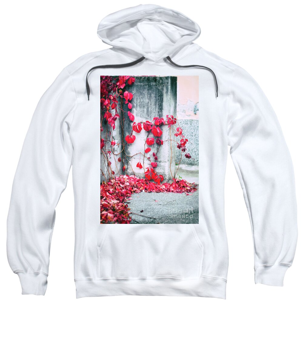 Ivy Sweatshirt featuring the photograph Red ivy leaves by Silvia Ganora