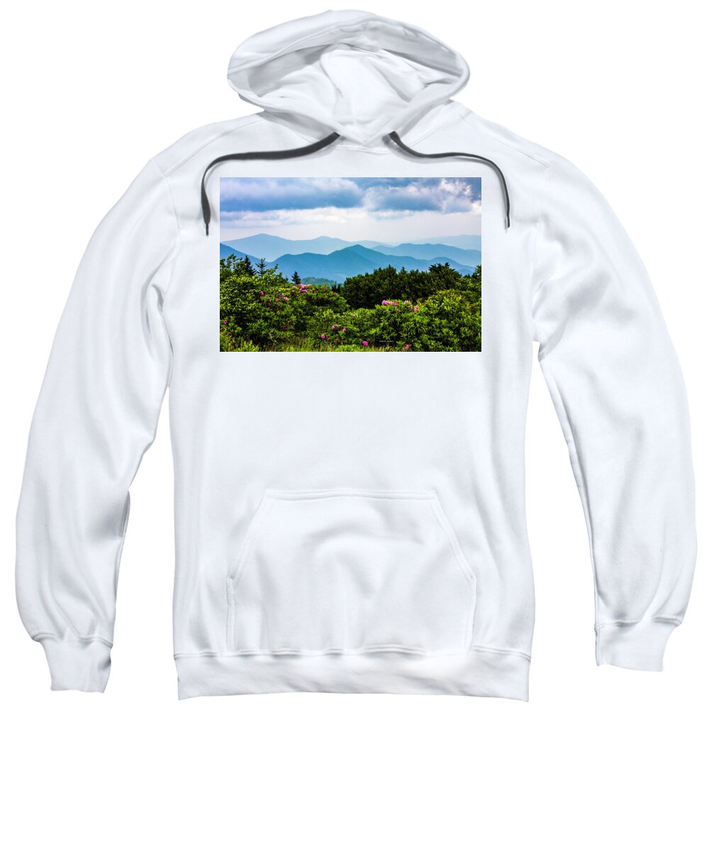 Rhododendrons Sweatshirt featuring the photograph Roan Mountain Rhodos by Dale R Carlson