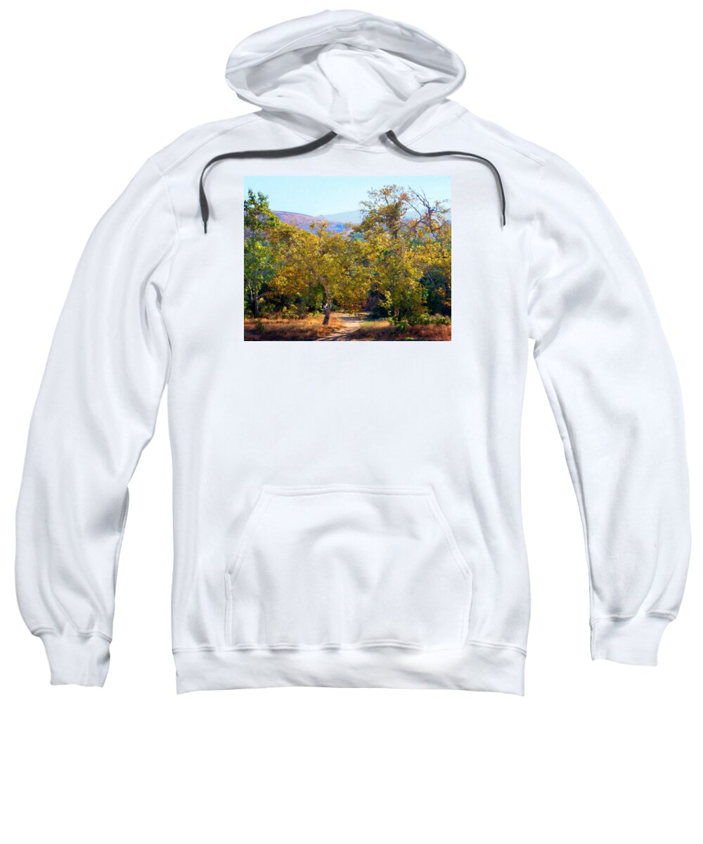Trail Sweatshirt featuring the photograph Santiago Creek Trail by Timothy Bulone