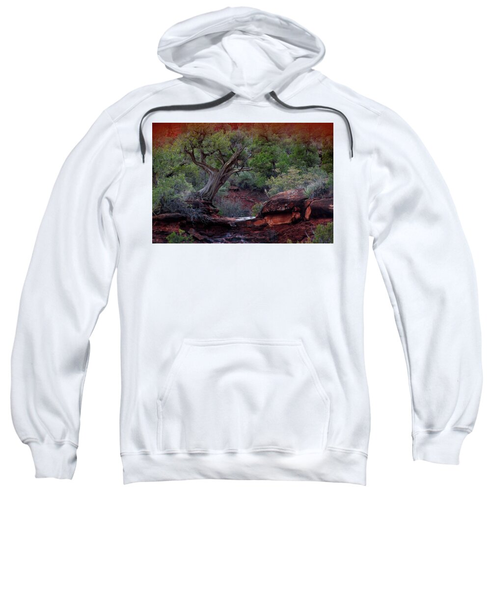 Tree Sweatshirt featuring the photograph Sedona #1 by David Chasey