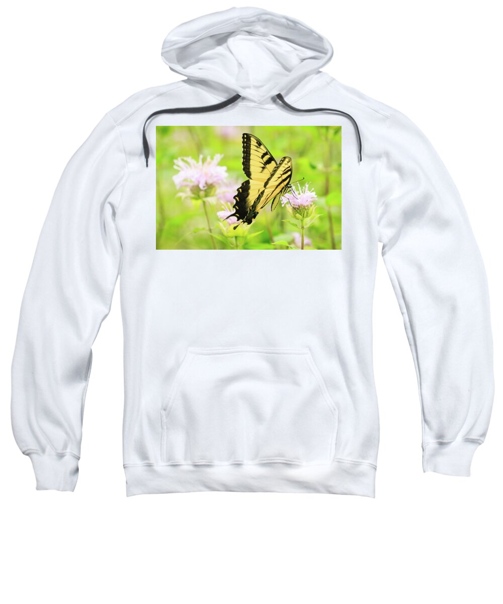 Forest Preserve Sweatshirt featuring the photograph Series of Yellow Swallowtail #4 of 6 by Joni Eskridge