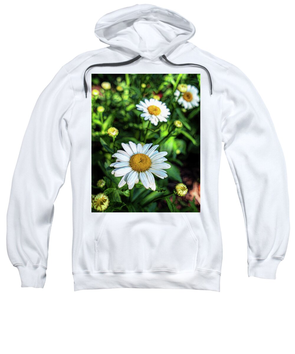 Art Sweatshirt featuring the photograph Shasta Daisy by Robert FERD Frank