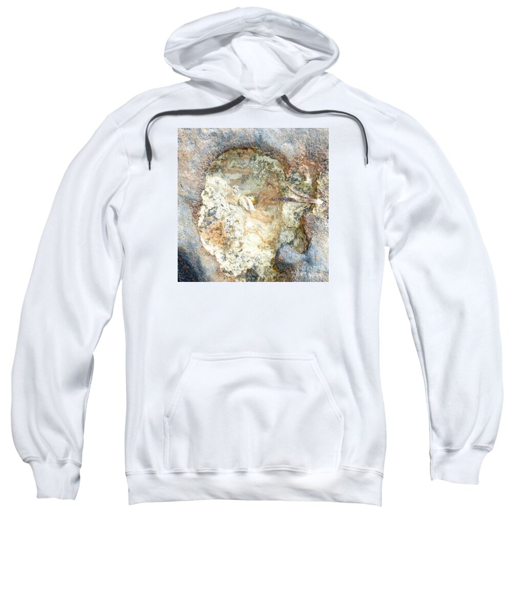 Photography Sweatshirt featuring the photograph Shell in Rock by Francesca Mackenney