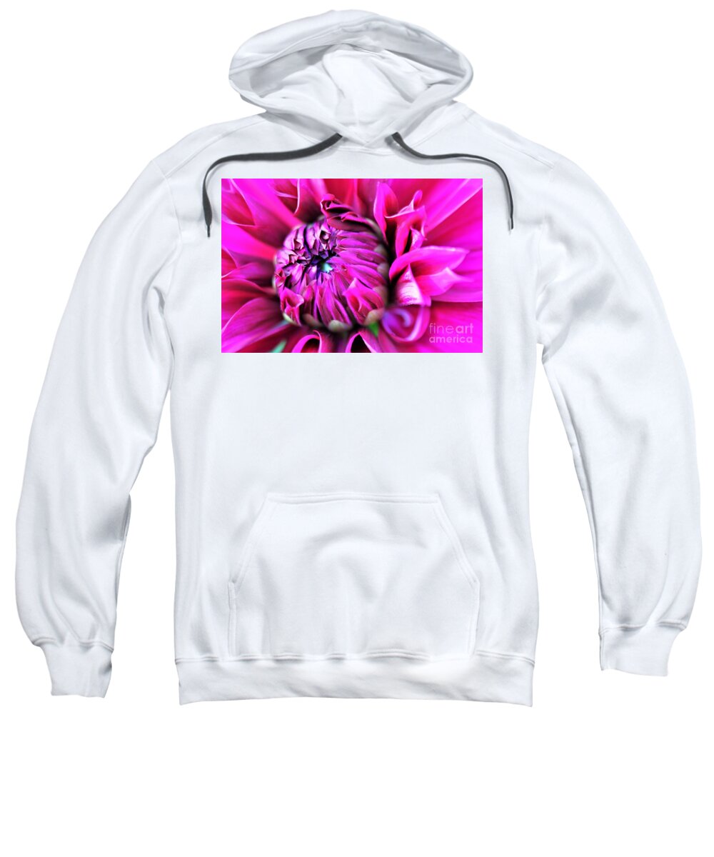 Bright Pink Sweatshirt featuring the photograph Shocking Pink Dahlia 1 by Tracey Lee Cassin