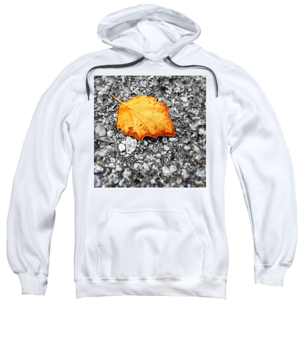 Scoobydrew81 Andrew Rhine Close-up Closeup Nature Botany Botanical Floral Flora Art Color Leaves Leaf Fall Autumn Tree Colorful Branch Orange Detail Closeup Simple Minimal Single One Grey Pavement Ground Road Rock Sweatshirt featuring the photograph Single Orange leaf 2 by Andrew Rhine