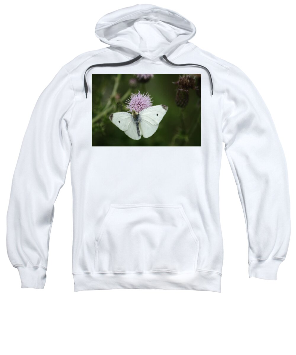 Small Sweatshirt featuring the photograph Small White On Thistle by Adrian Wale