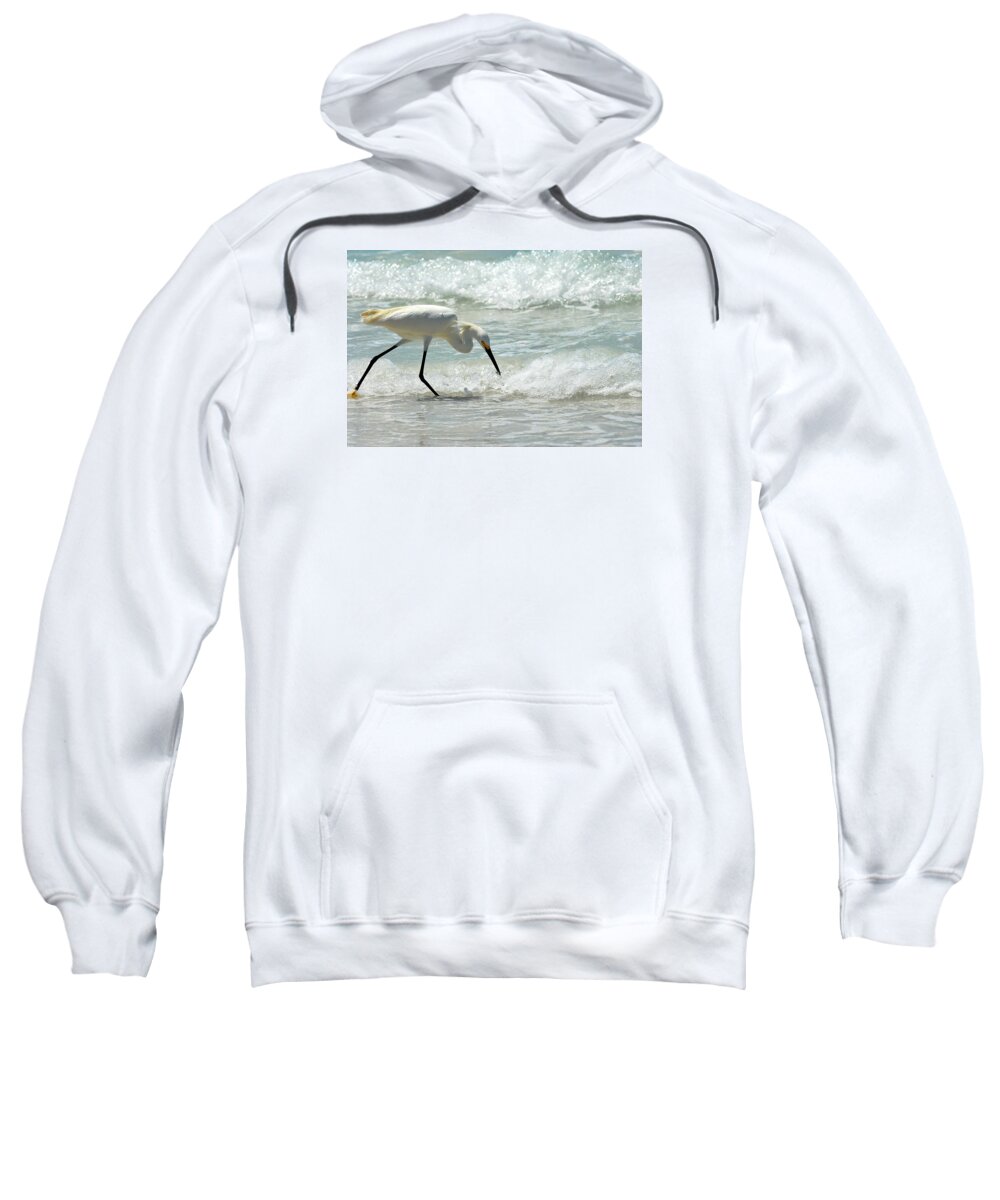 Lido Beach Sweatshirt featuring the photograph Snowy Egret 6265 Lido Beach by Steve Somerville