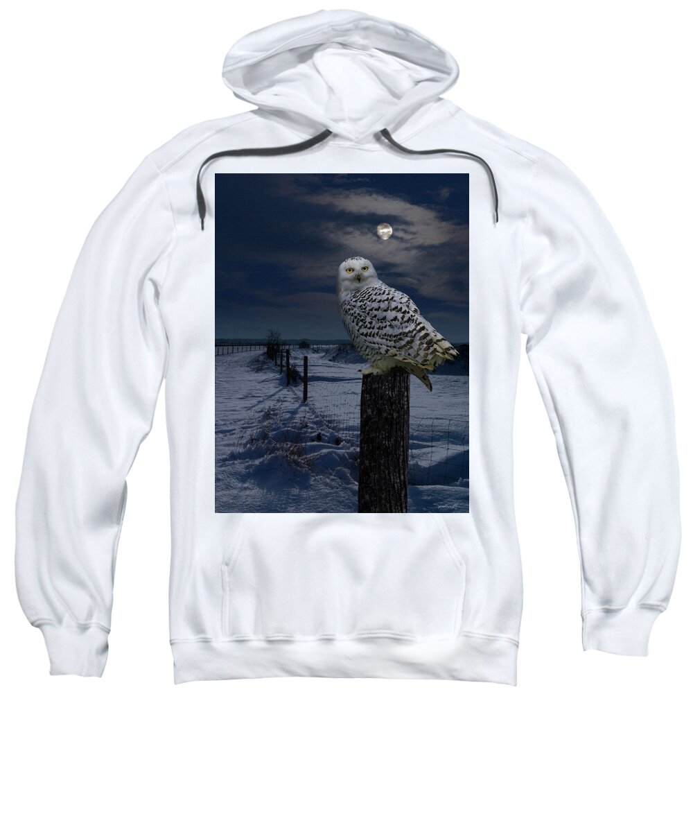 Owl Sweatshirt featuring the digital art Snowy Owl On A Winter Night by M Spadecaller