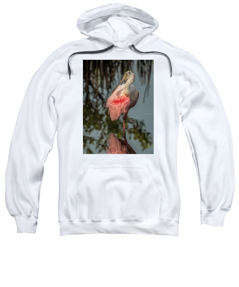 Spoonbill Sweatshirt featuring the photograph Spoonbill Resting by Dorothy Cunningham
