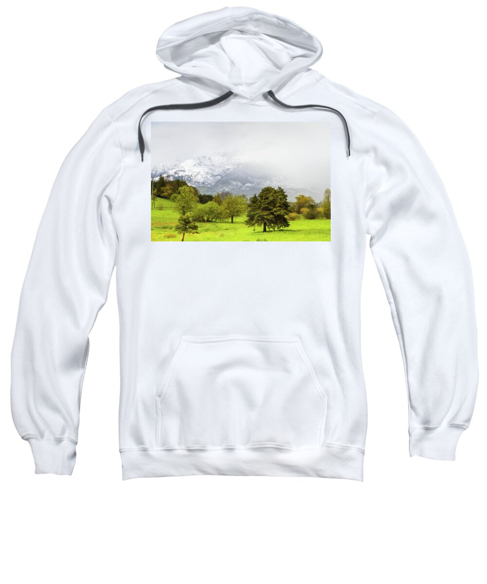 Mountain Landscape Sweatshirt featuring the photograph Spring in French Alps - 1 by Paul MAURICE