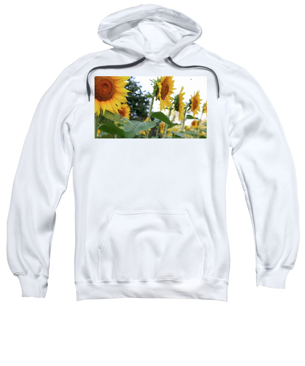  Sweatshirt featuring the photograph Standing Tall by Mary Anne Delgado
