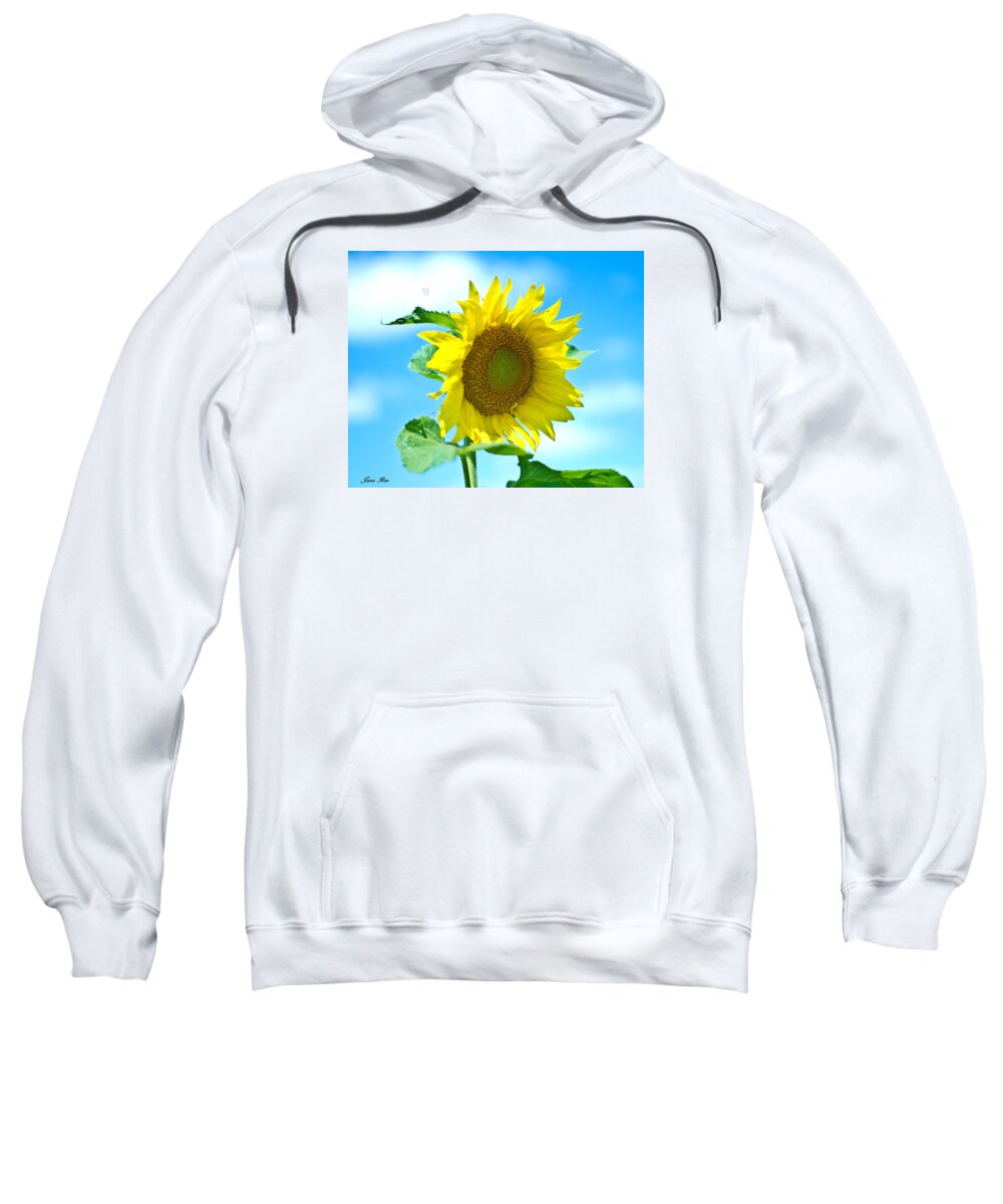 Sunflower Sweatshirt featuring the photograph Sunflower 1 by Jana Rosenkranz