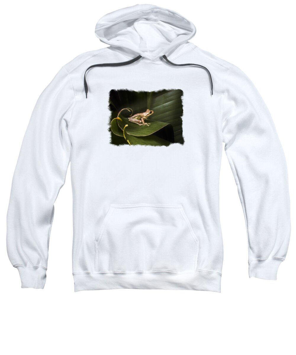 Frog Sweatshirt featuring the photograph Surfing the Wave Bordered by Debra and Dave Vanderlaan