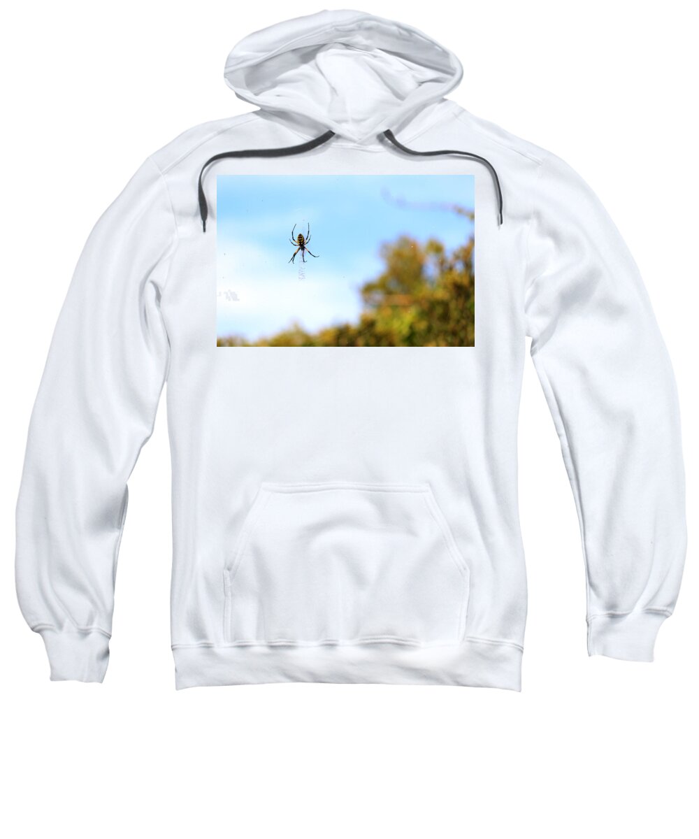Arachnid Sweatshirt featuring the photograph Suspended Spider by Travis Rogers
