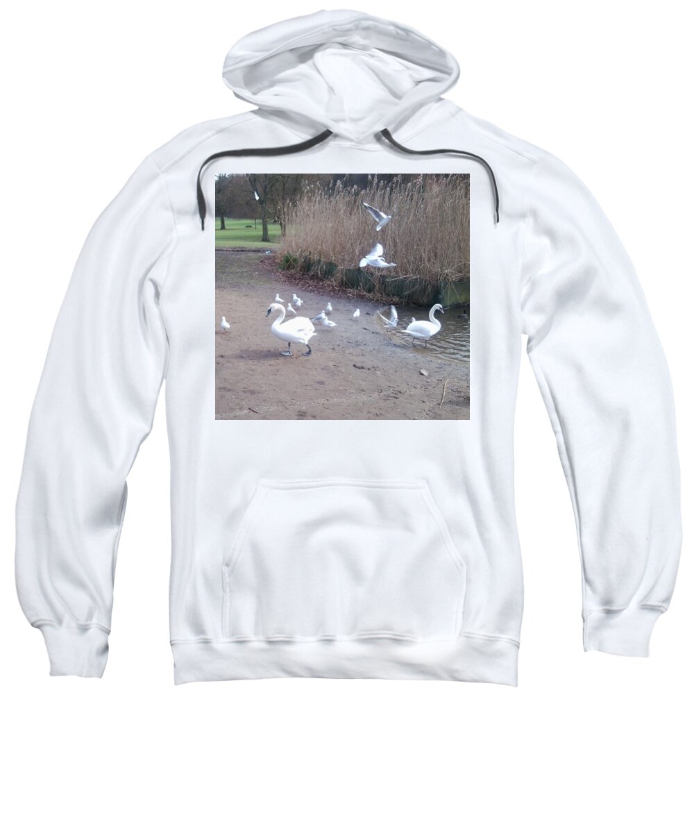 Swan Sweatshirt featuring the photograph Swans 4 by Julia Woodman