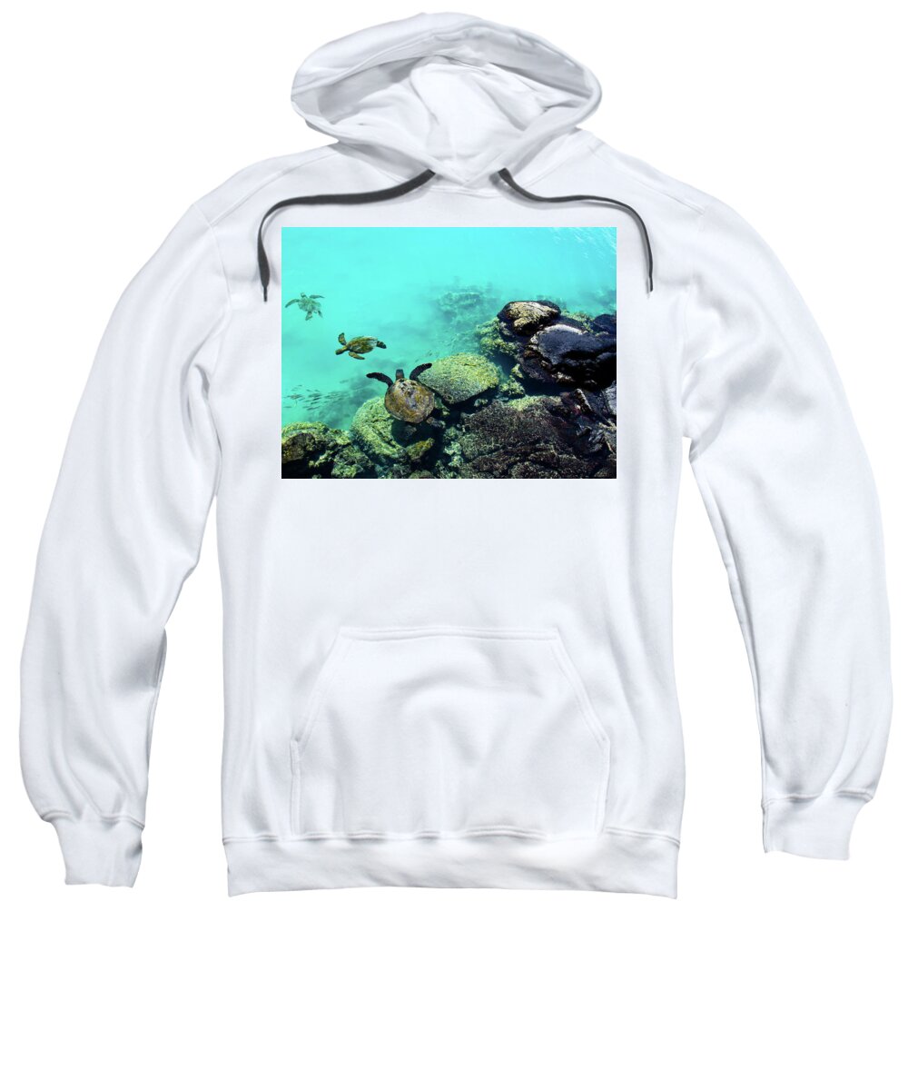 Green Sea Turtle Sweatshirt featuring the photograph Swimming Honu by Christopher Johnson
