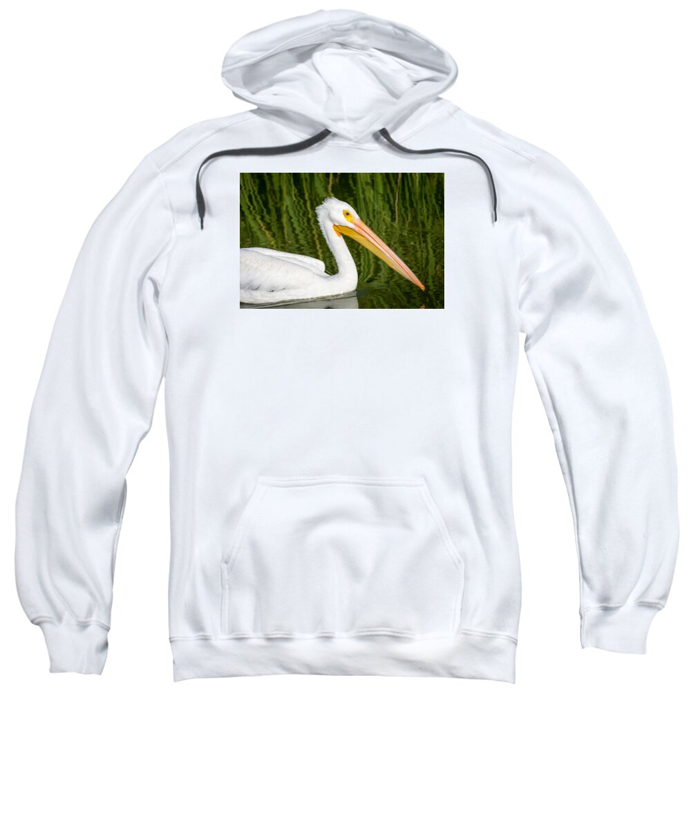 American Sweatshirt featuring the photograph The American White Pelican by Debra Martz