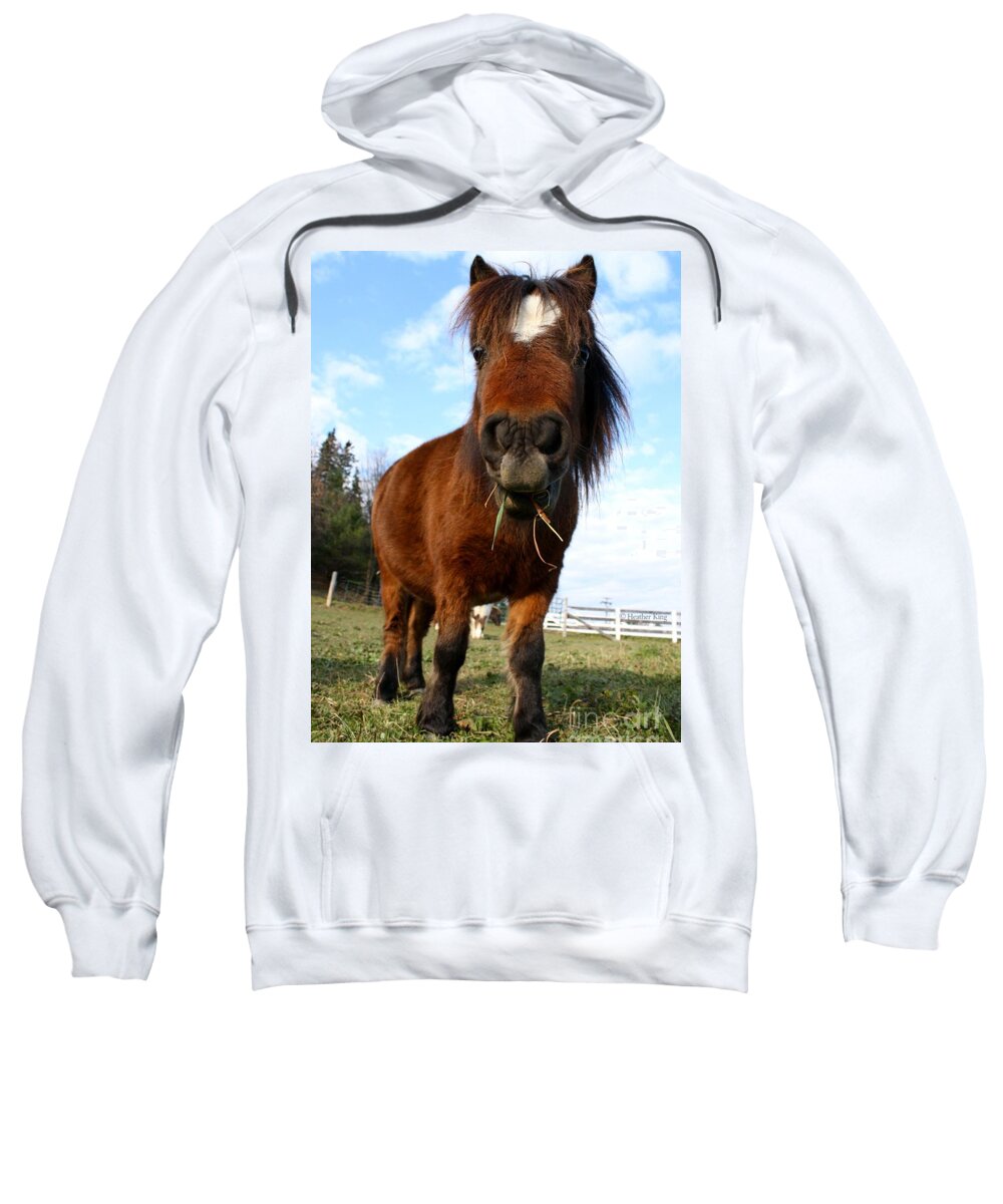 Horse Sweatshirt featuring the photograph The Girl from Ipanema by Heather King