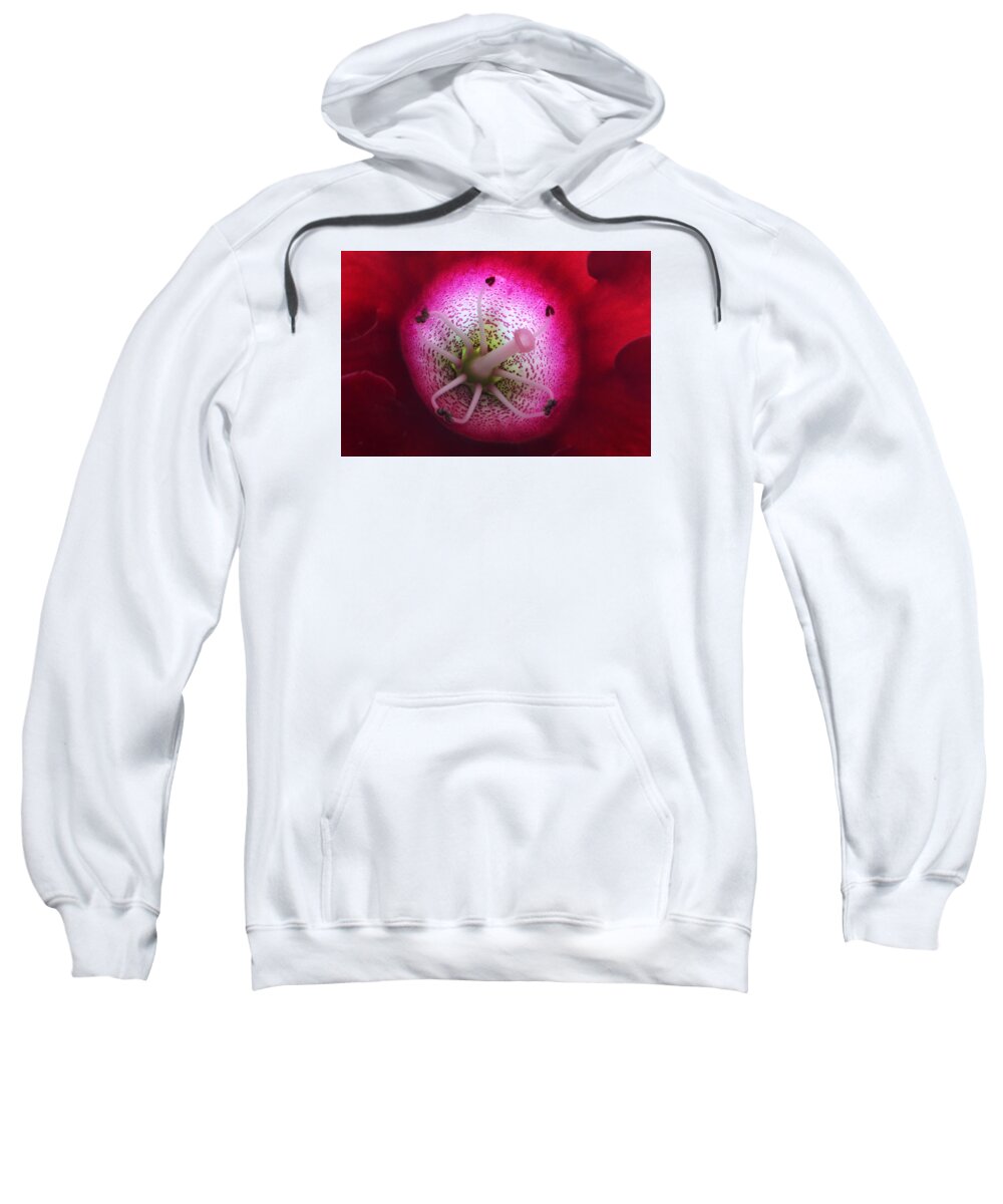 Gloxinia Sweatshirt featuring the photograph The Innerspace by Terence Davis