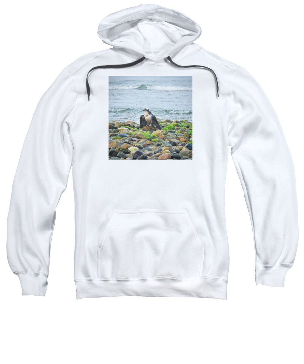 Beautiful Sweatshirt featuring the photograph Osprey by Charlie Cliques