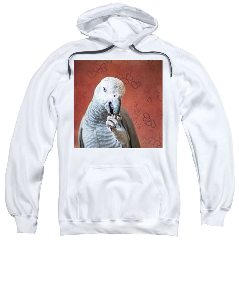 Love Sweatshirt featuring the photograph To Be Owned By a Grey Is To Know Love by Jennifer Grossnickle