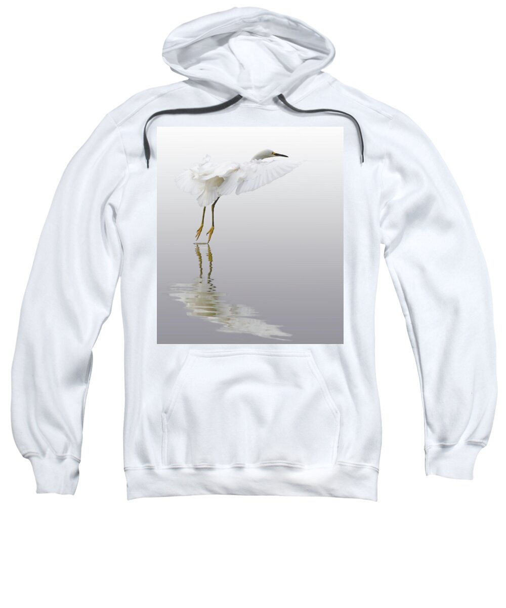 Bird Sweatshirt featuring the photograph Touching Down by Bruce Bonnett