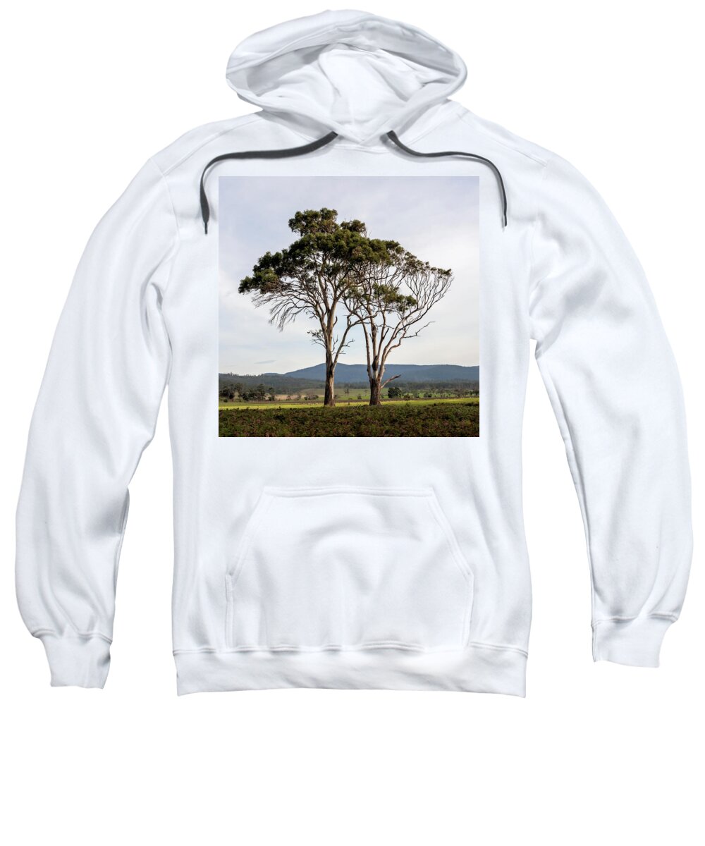 Trees Sweatshirt featuring the photograph Tree Duo by Anthony Davey