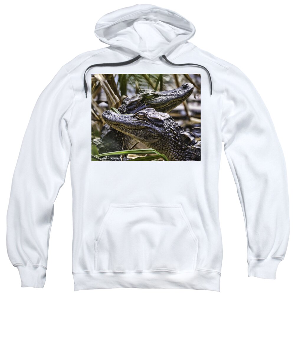 Alligators Sweatshirt featuring the photograph Two Heads Are Better Than One by Joe Granita