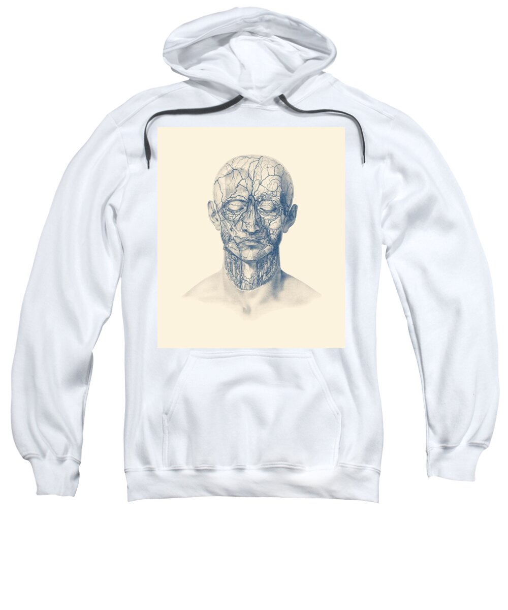 Face Anatomy Sweatshirt featuring the drawing Venous and Circulatory System - Human Head - Vintage Anatomy by Vintage Anatomy Prints