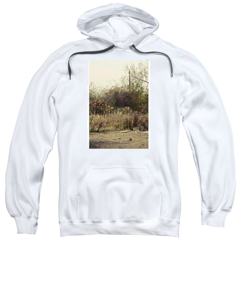 Seaside Sweatshirt featuring the photograph Walking By The Lake

#landscape #lake by Mandy Tabatt
