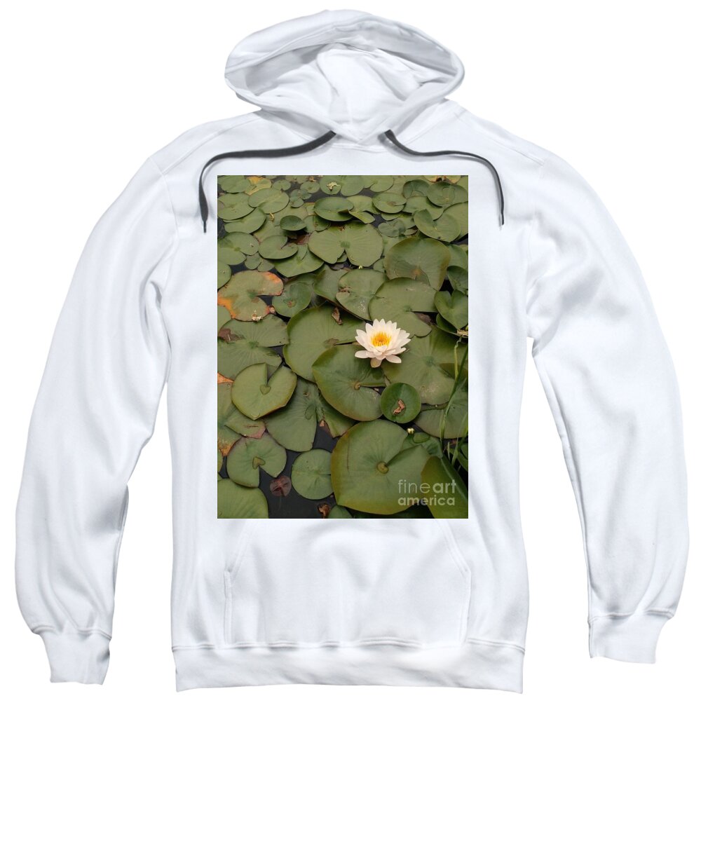 Lily Pads Sweatshirt featuring the photograph Water Lily by Anita Adams