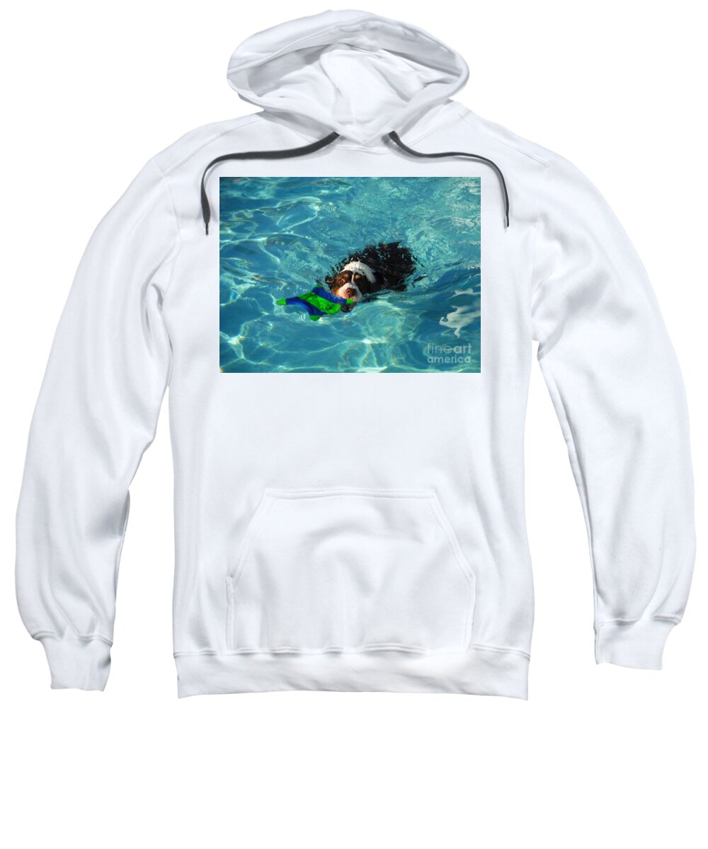 Water Dog Series Sweatshirt featuring the photograph Water Dogs Series 3 by Paddy Shaffer