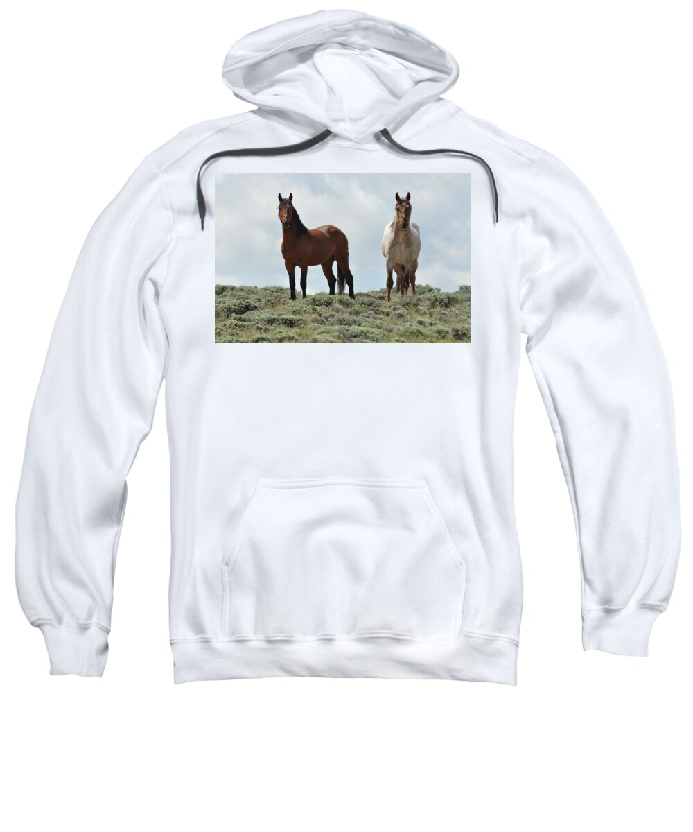 Wild Horses Sweatshirt featuring the photograph We See You by Frank Madia