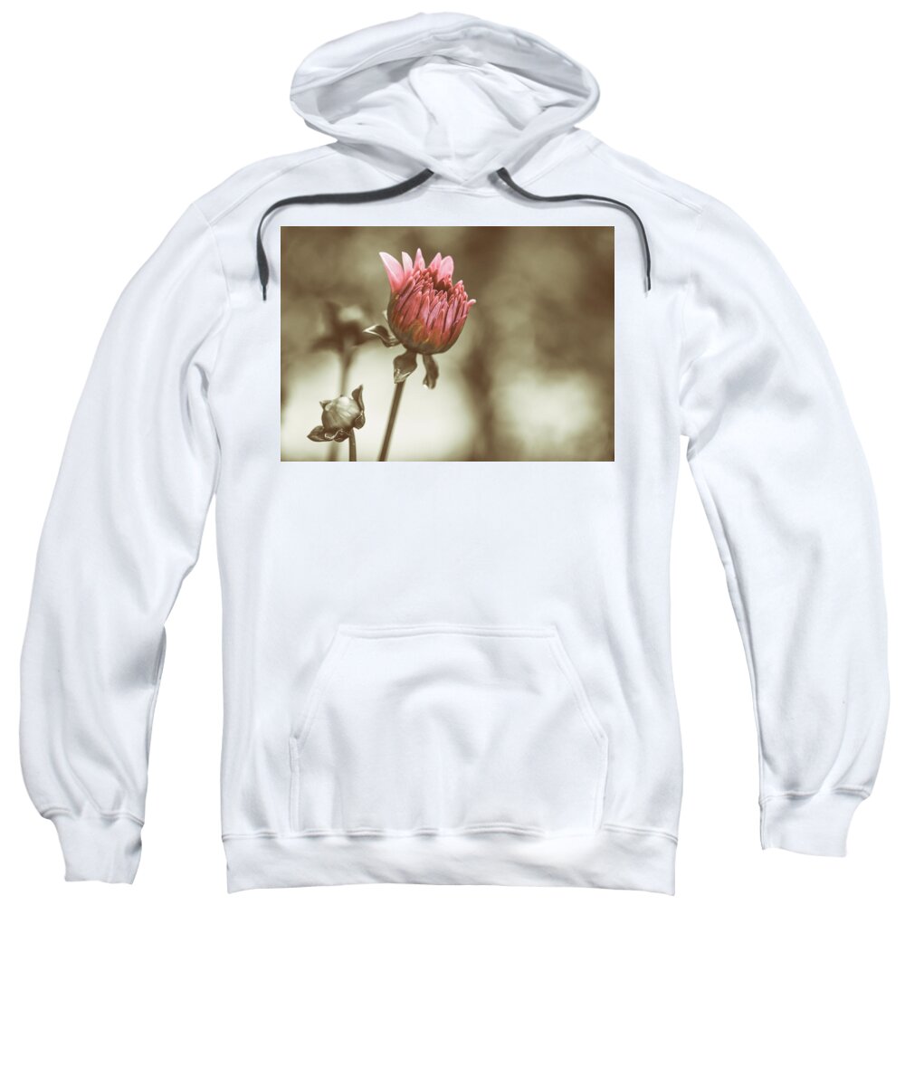 Dahlia Sweatshirt featuring the photograph When We Were Young by Rob Davies