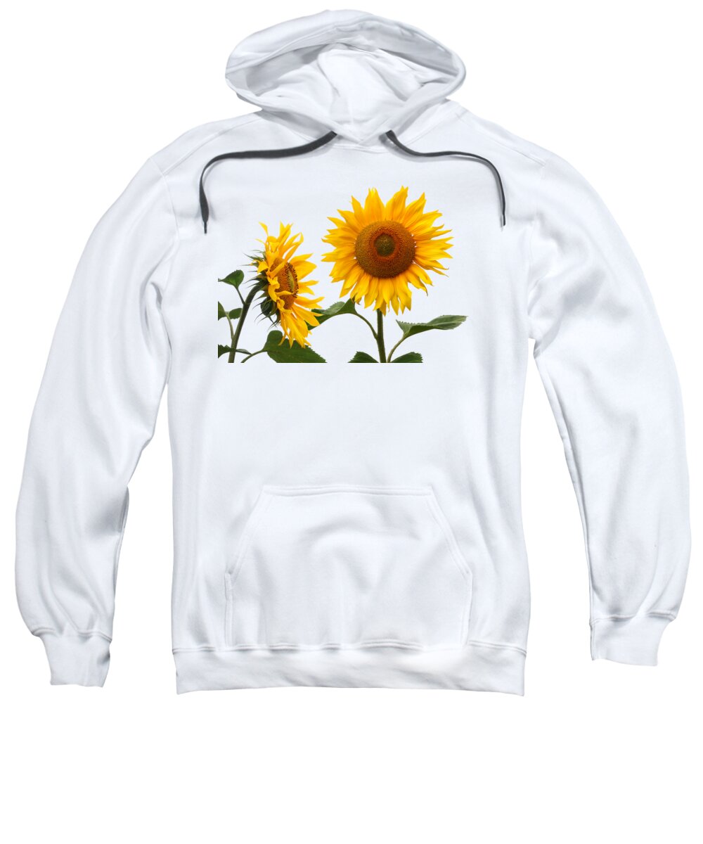 Sunflower Sweatshirt featuring the photograph Whispering Secrets Sunflowers On White by Gill Billington