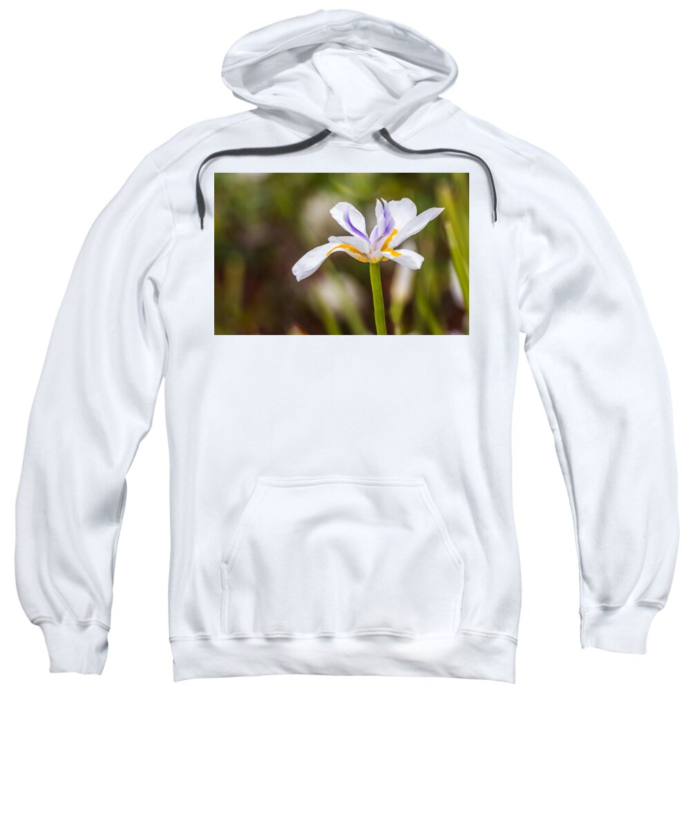 Iris Sweatshirt featuring the photograph White Beardless Iris by Ed Clark