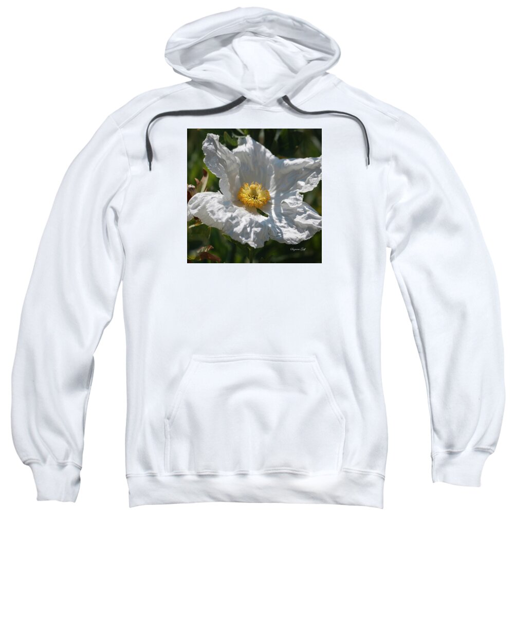 Photograph Sweatshirt featuring the photograph White Cactus Flower by Suzanne Gaff
