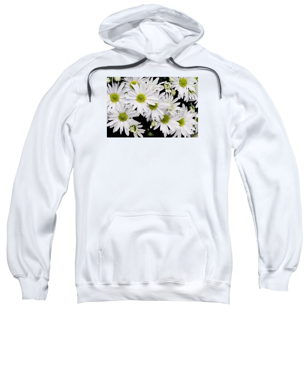 White Sweatshirt featuring the photograph White Chrysanthemums by Stephanie Frey