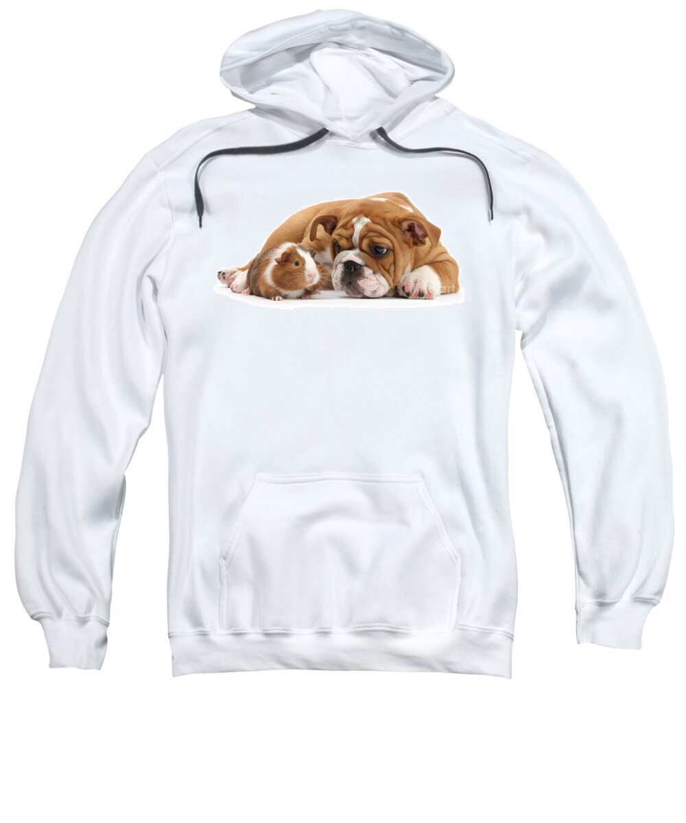 Guinea Pig Sweatshirt featuring the photograph Will you be my Friend? by Warren Photographic