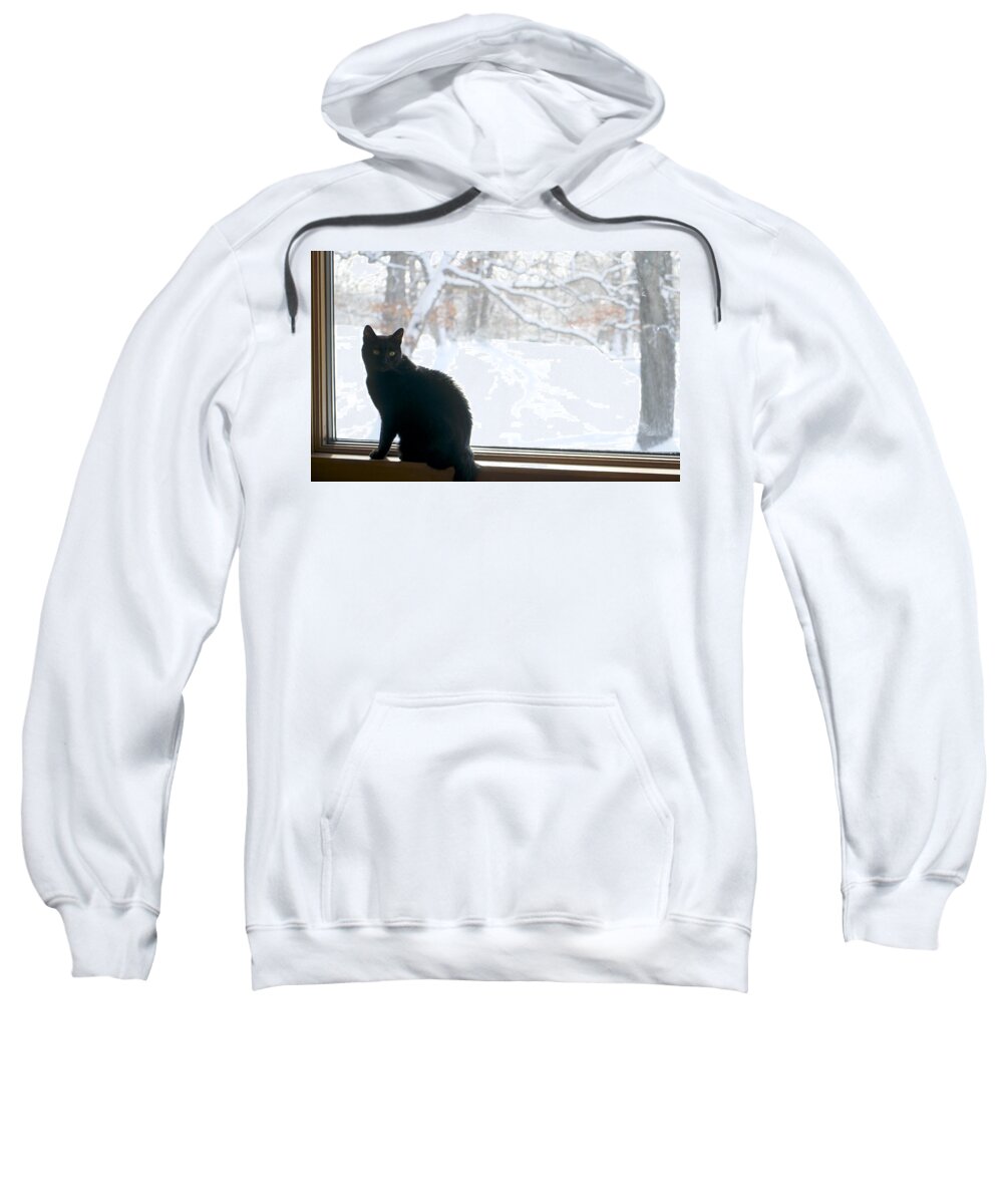 Cat Sweatshirt featuring the photograph Winter sun by Brooke Bowdren