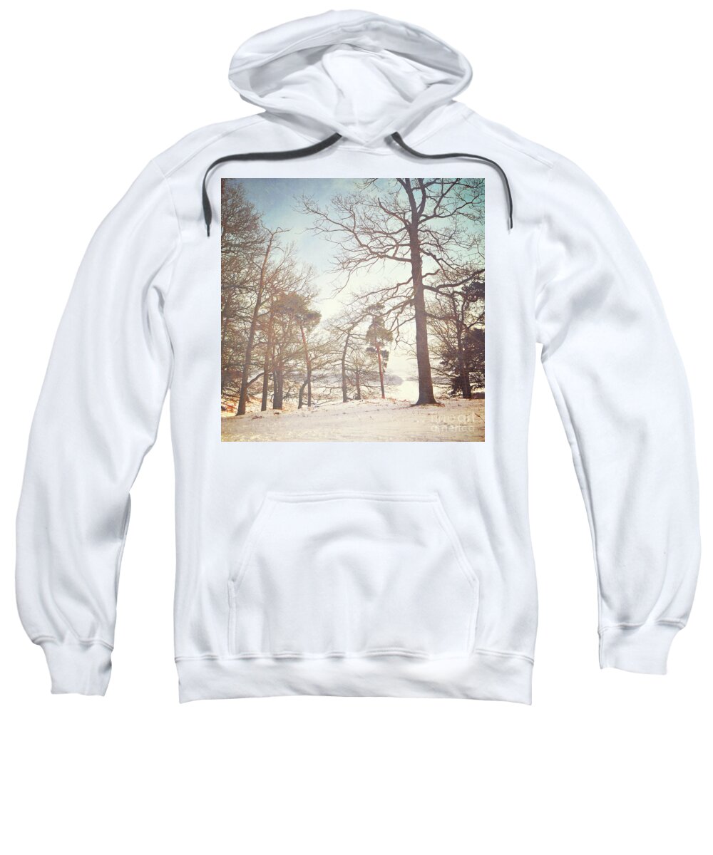 Trees Sweatshirt featuring the photograph Winter trees by Lyn Randle