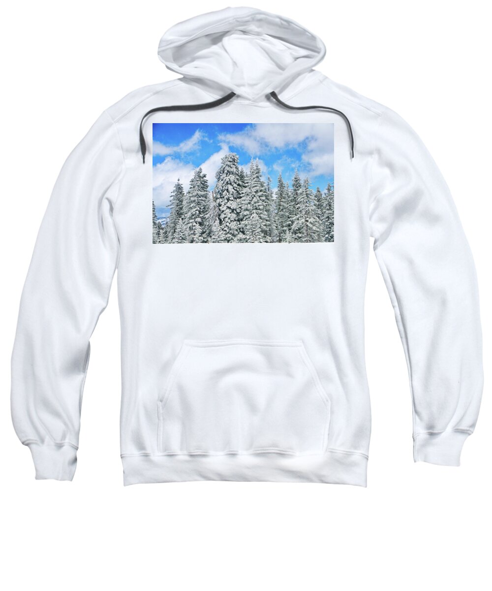 Winter Sweatshirt featuring the photograph Winterscape by Jeffrey Kolker