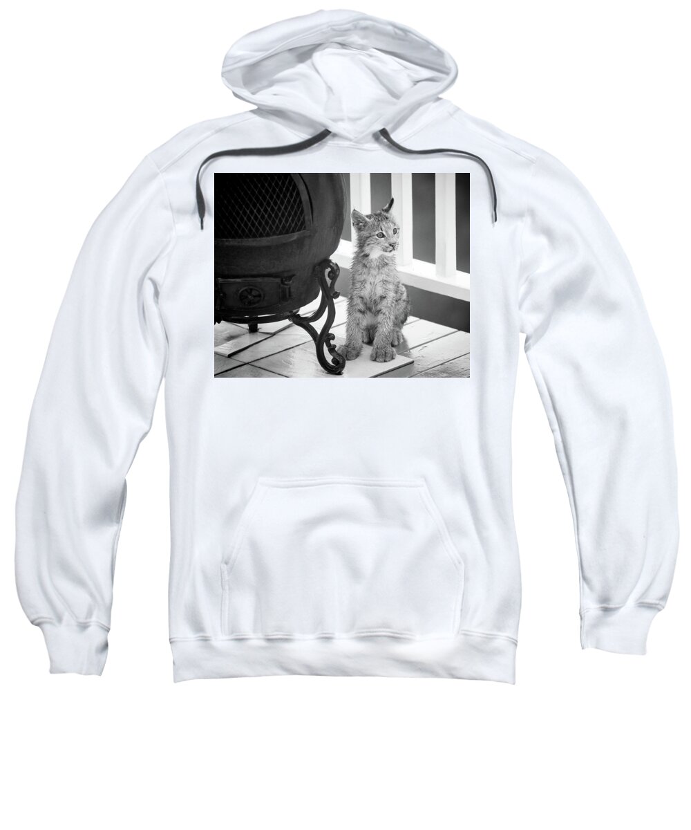Lynx Sweatshirt featuring the photograph You Say Somethin by Tim Newton