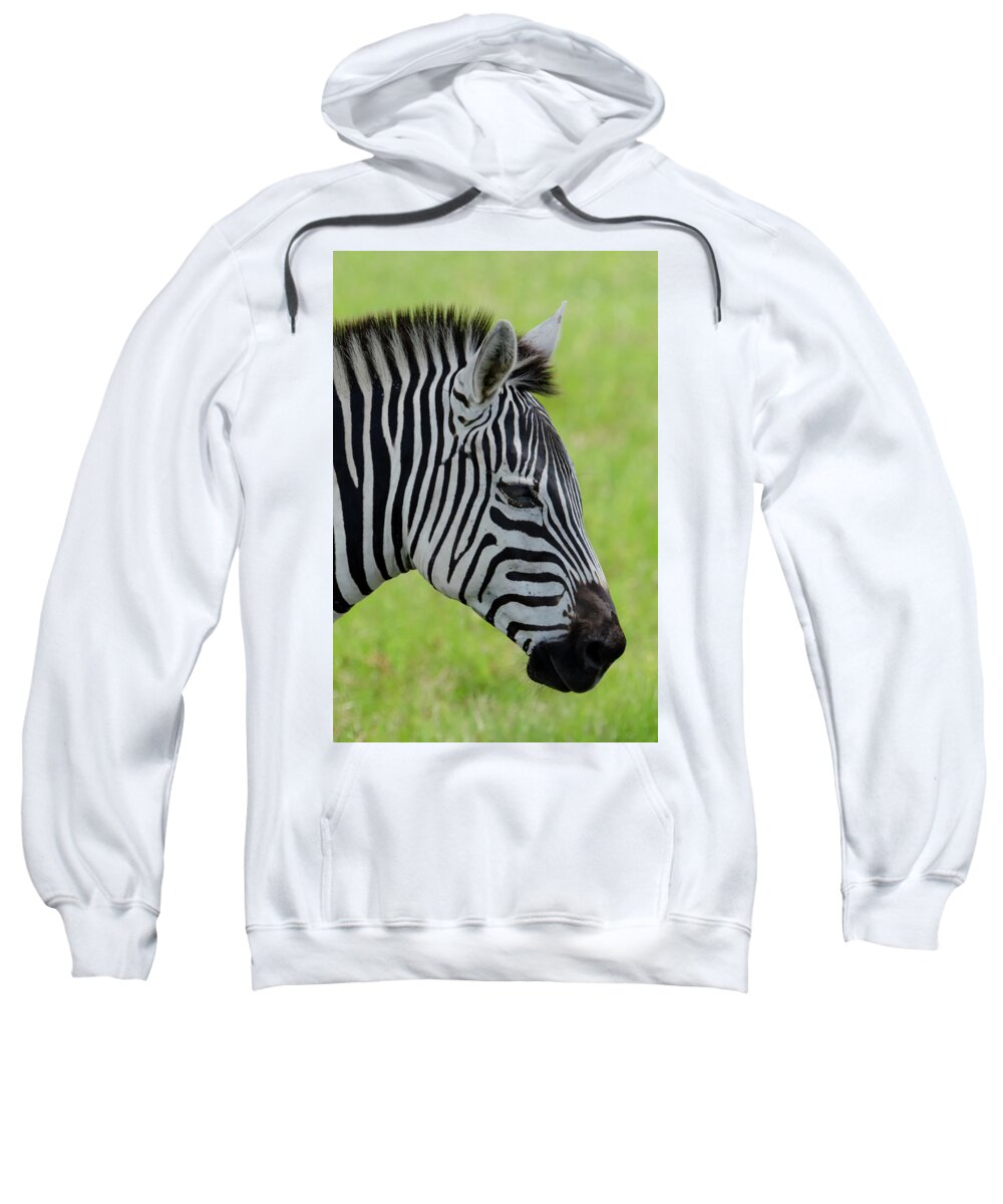 Zebra Sweatshirt featuring the photograph Zebra Head Profile on Savannnah by Artful Imagery